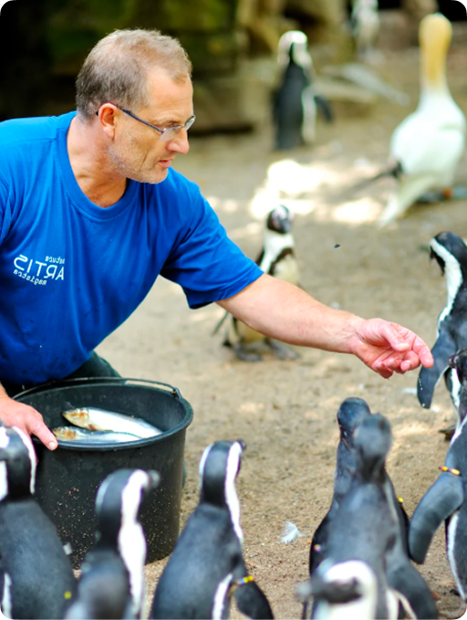 Animal Health, Nutrition & Welfare