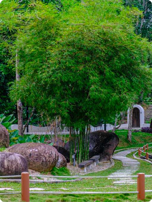 Habitat Design & Environmental Management