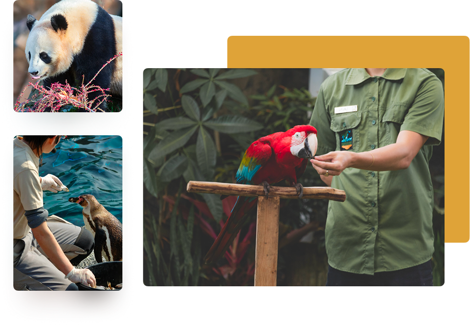 Zookeeping Landing Page Image 2